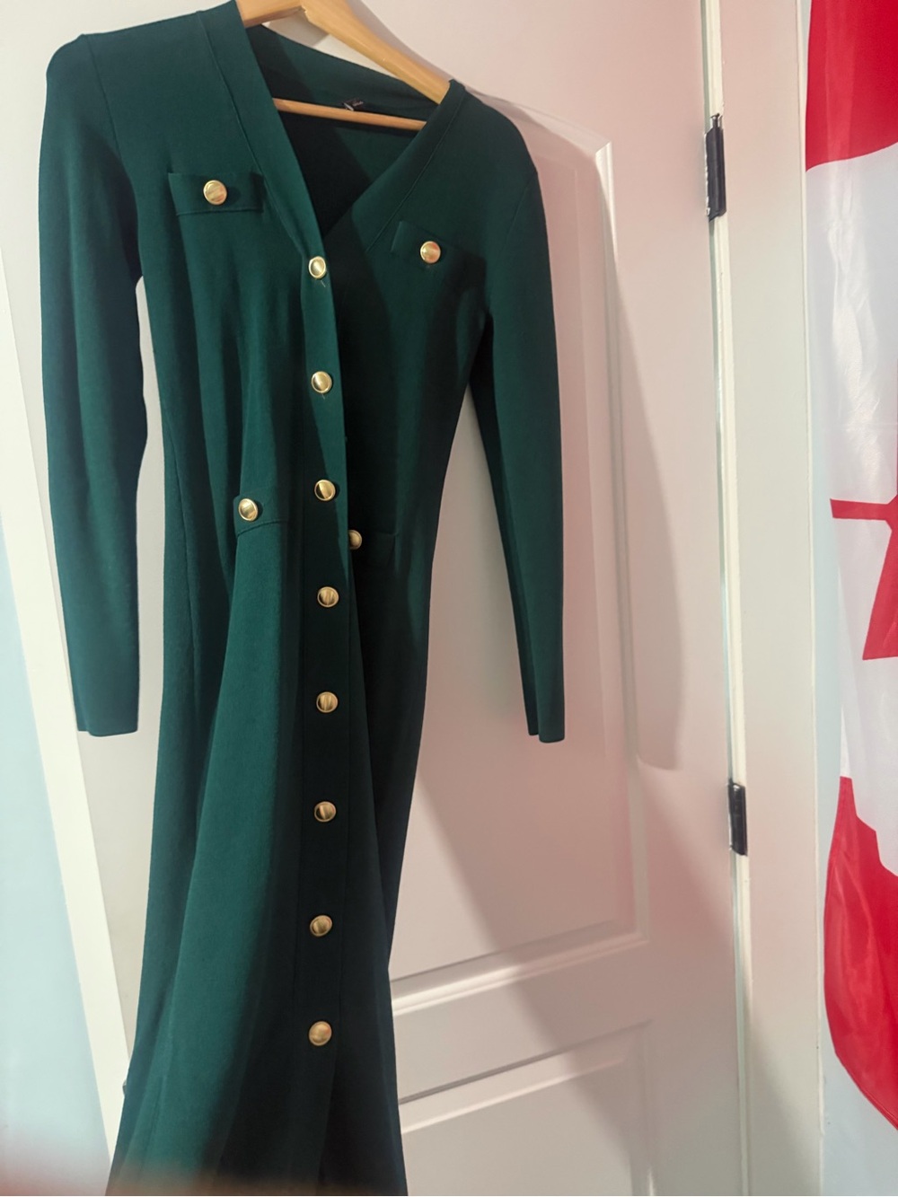 Ann Taylor Forest Green Long Sleeve Button-Front Dress